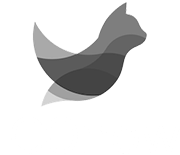 ICOnow