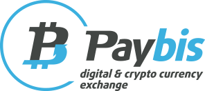 PaybisLogo